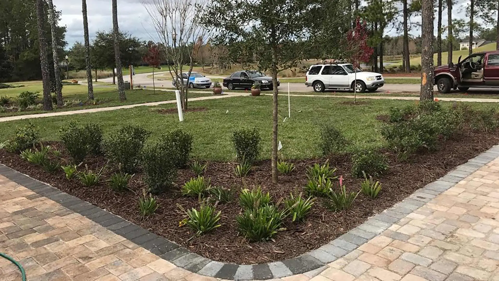 Example of properly installed mulch that is at the recommended depth.