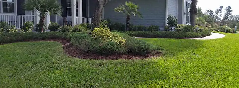This %%targetearea1%%, FL homeowner has a well maintained lawn and manicured landscaping courtesy of TLB Landscaping.