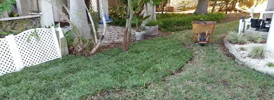 Sod has been placed on part of the yard of this Spring Hill, FL property.