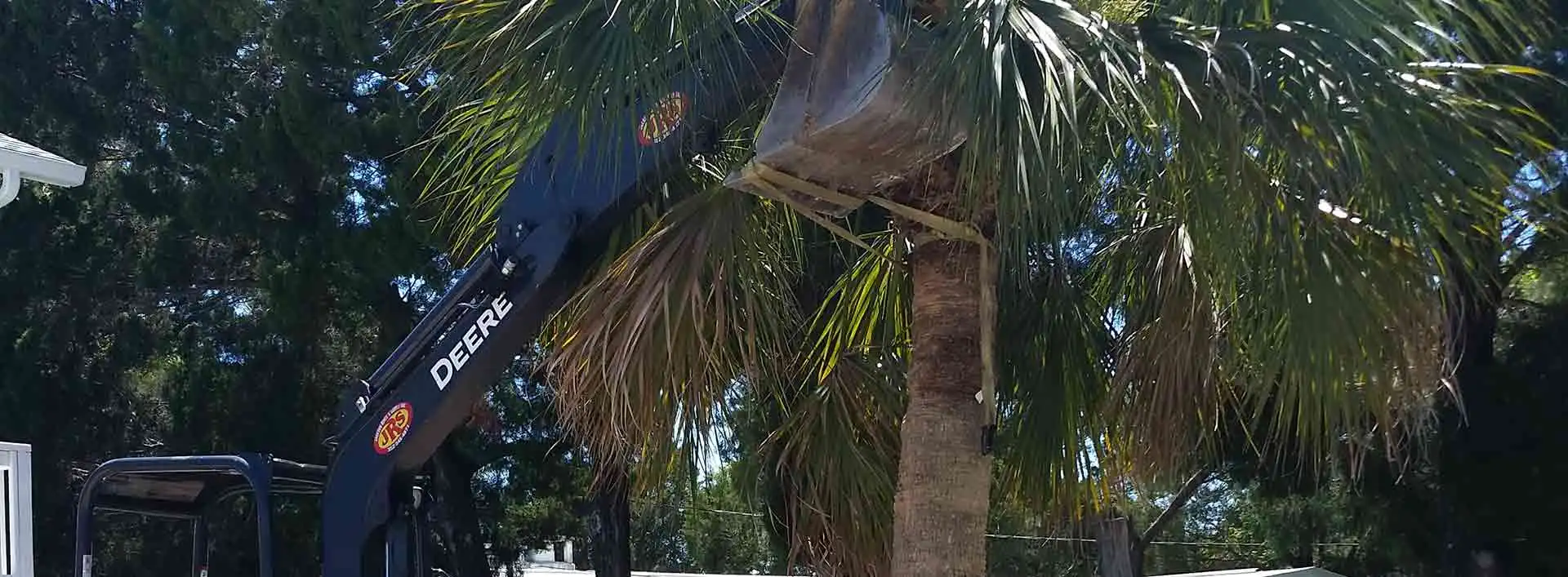 Palm tree being carefully placed into the landscape bed of a homeowner in Hernando Beach, FL.