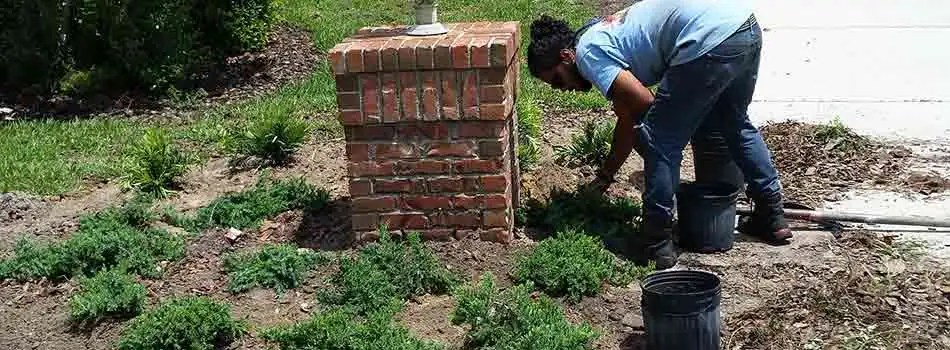 Team member installing small plants into the landscape bed of a residential customer in Brooksville, FL.