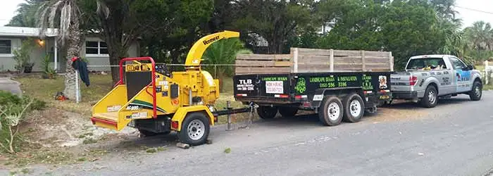 TLB Landscaping taking care of a tree trimming project in Spring Hill, FL.