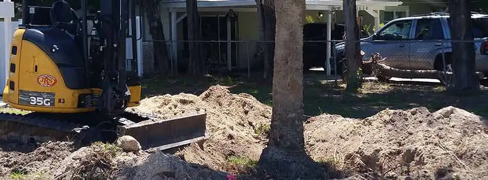 Tree removal services being performed at a home in Hernando Beach, FL.