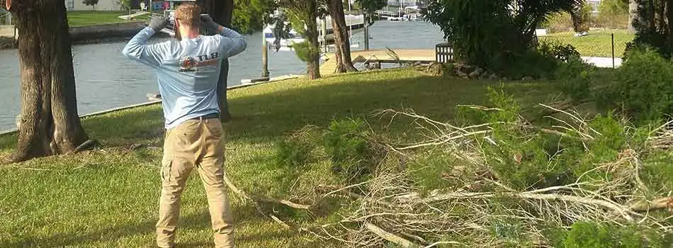 Tree trimming is being performed for this homeowner in Hernando Beach, FL.