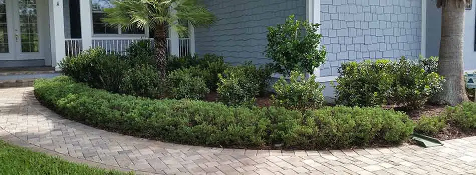 This homeowner's shrubs in Brooksville, FL appear well-groomed and healthy, thanks to the landscape trimming be provided as an extra service.