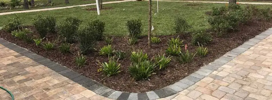 We have designed and installed both the landscape bed and the paver walkway for this homeowner in Spring Hill, FL.