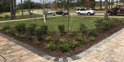 This landscape bed in Hernando Beach, FL  has just received new mulch.